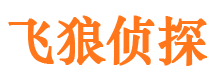 高陵侦探社